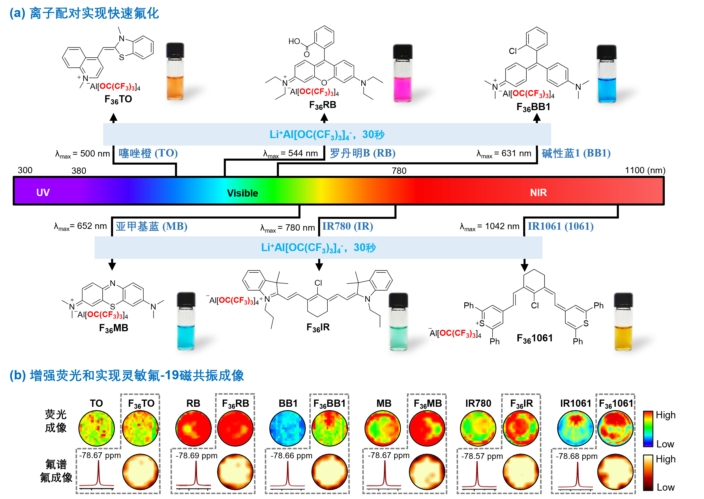 精密测量院基于离子配对策略高效构建<sup>19</sup>F MRI功能化光敏剂